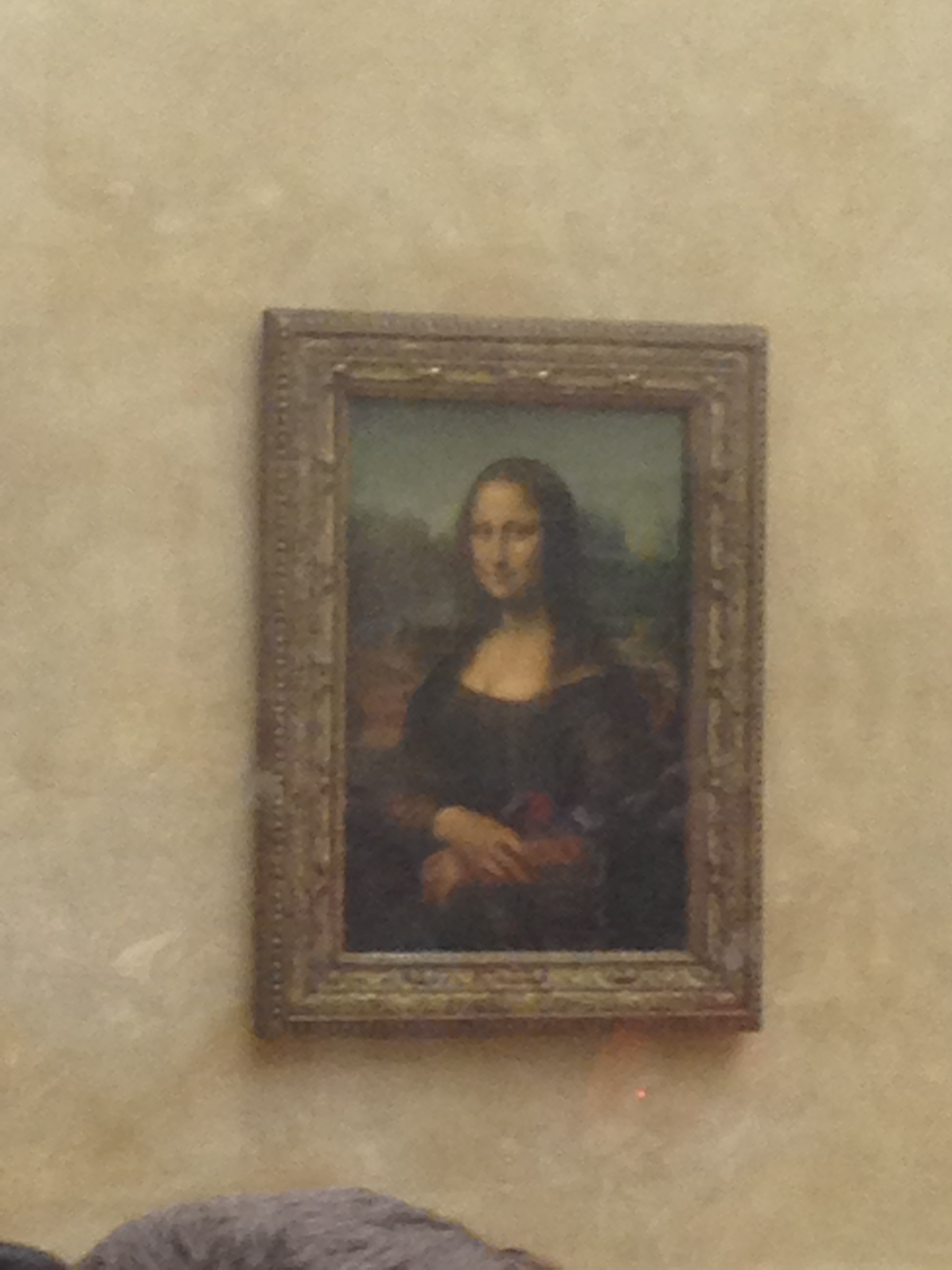2014-05-08 Paris Louvre Mona Lisa