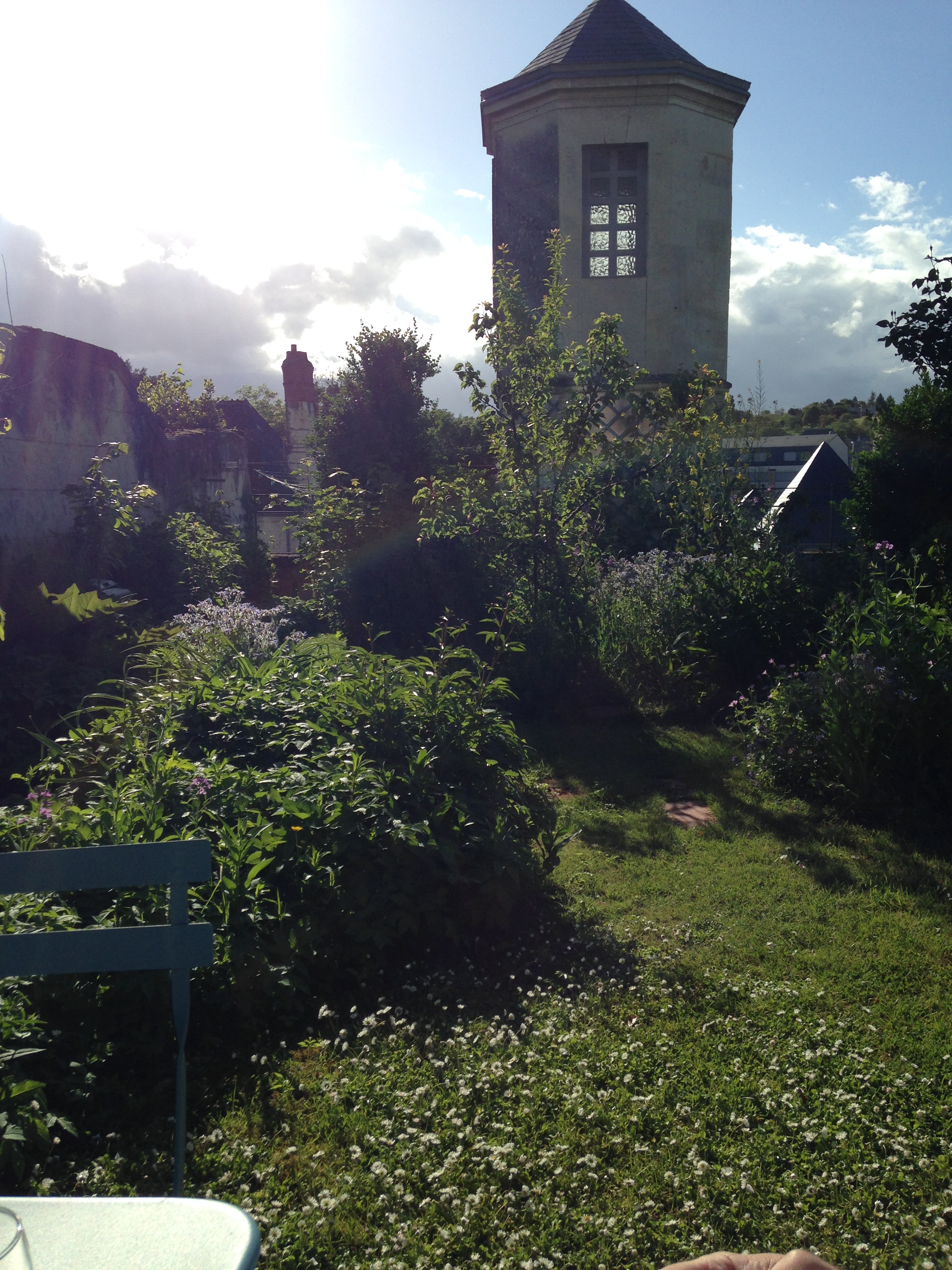 2014-05-11 Loches apt garden 4