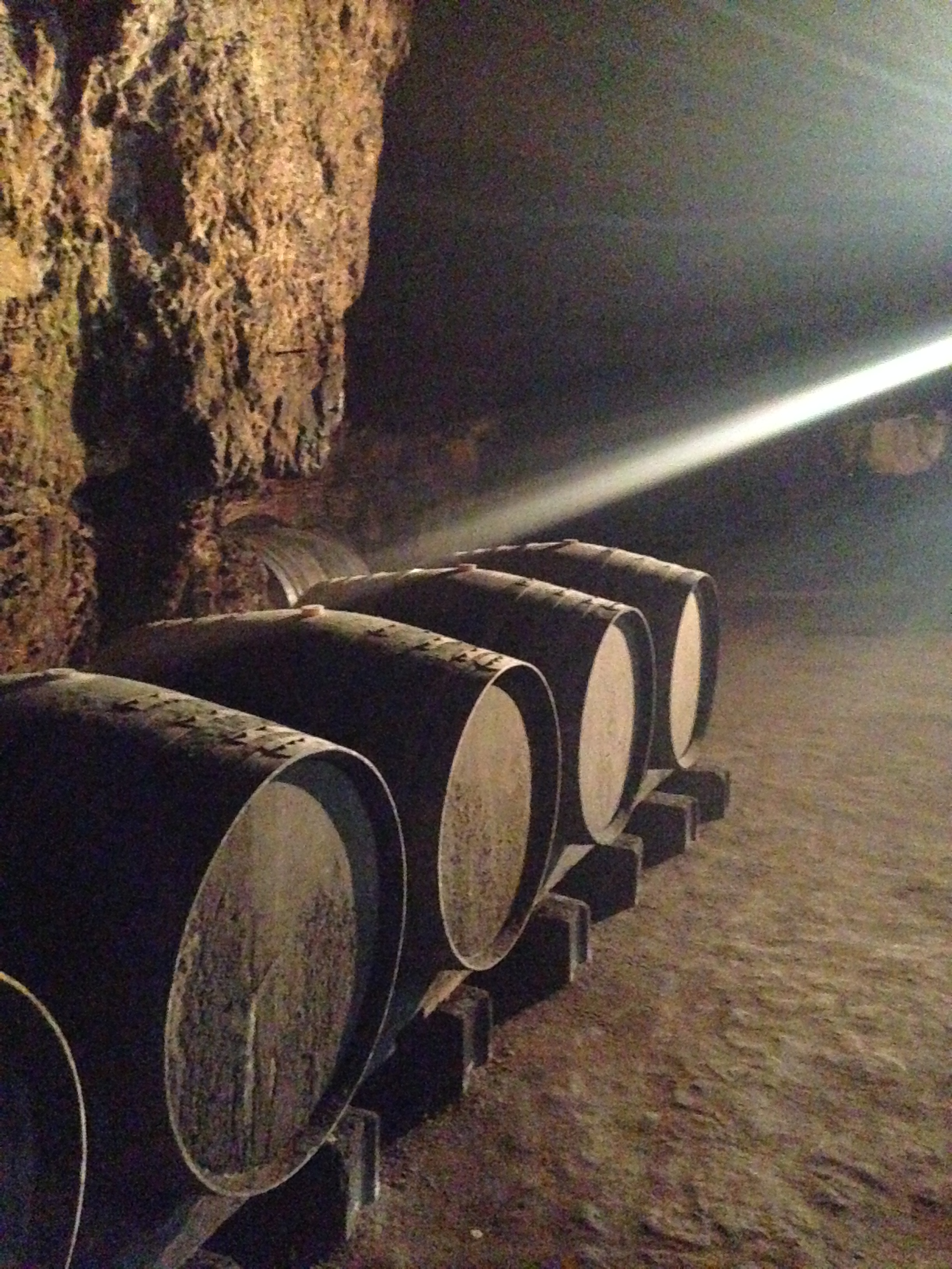 2014-05-12 Loire Valley Chevalerie Winery 4