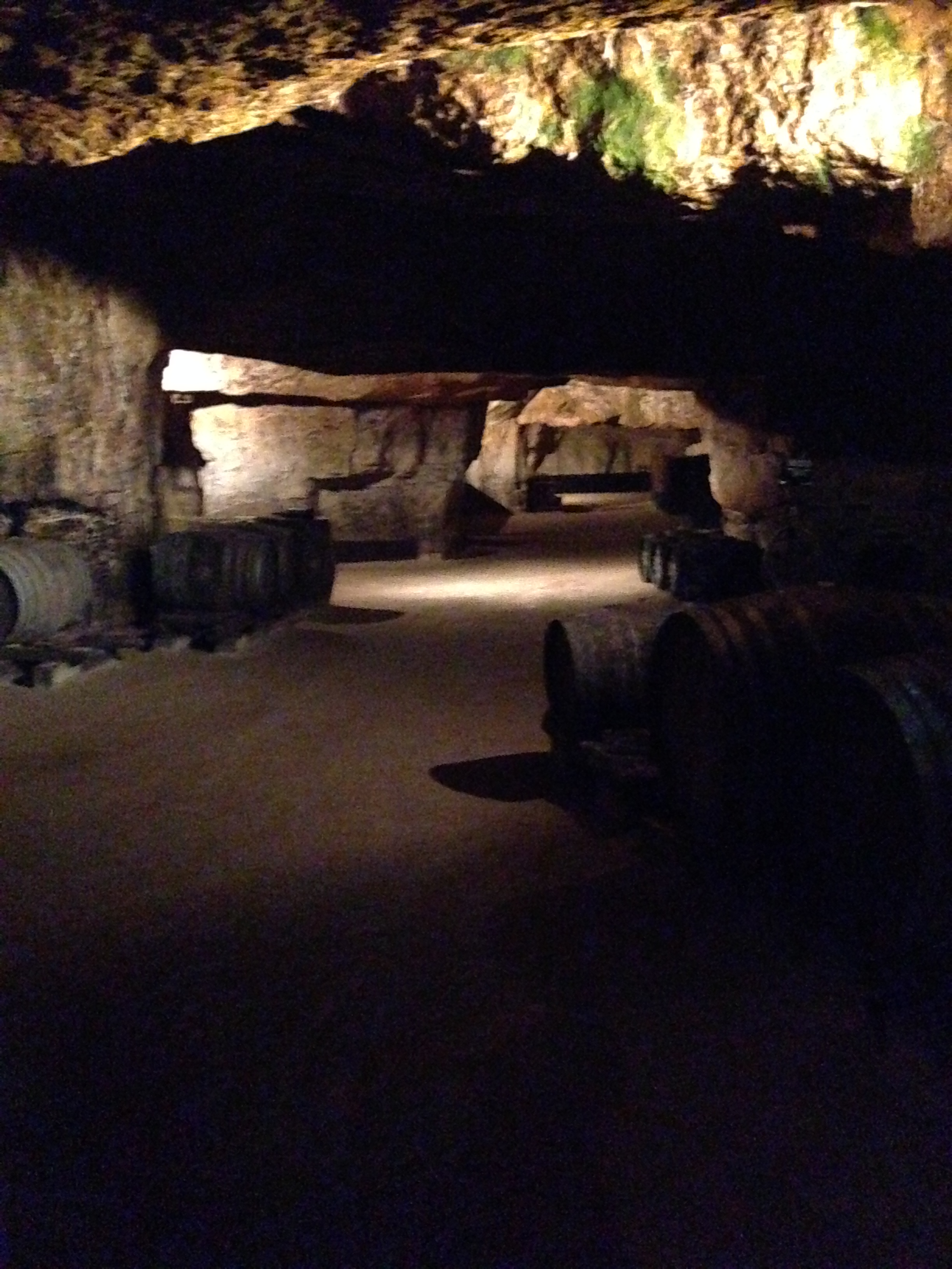 2014-05-12 Loire Valley Chevalerie Winery 5