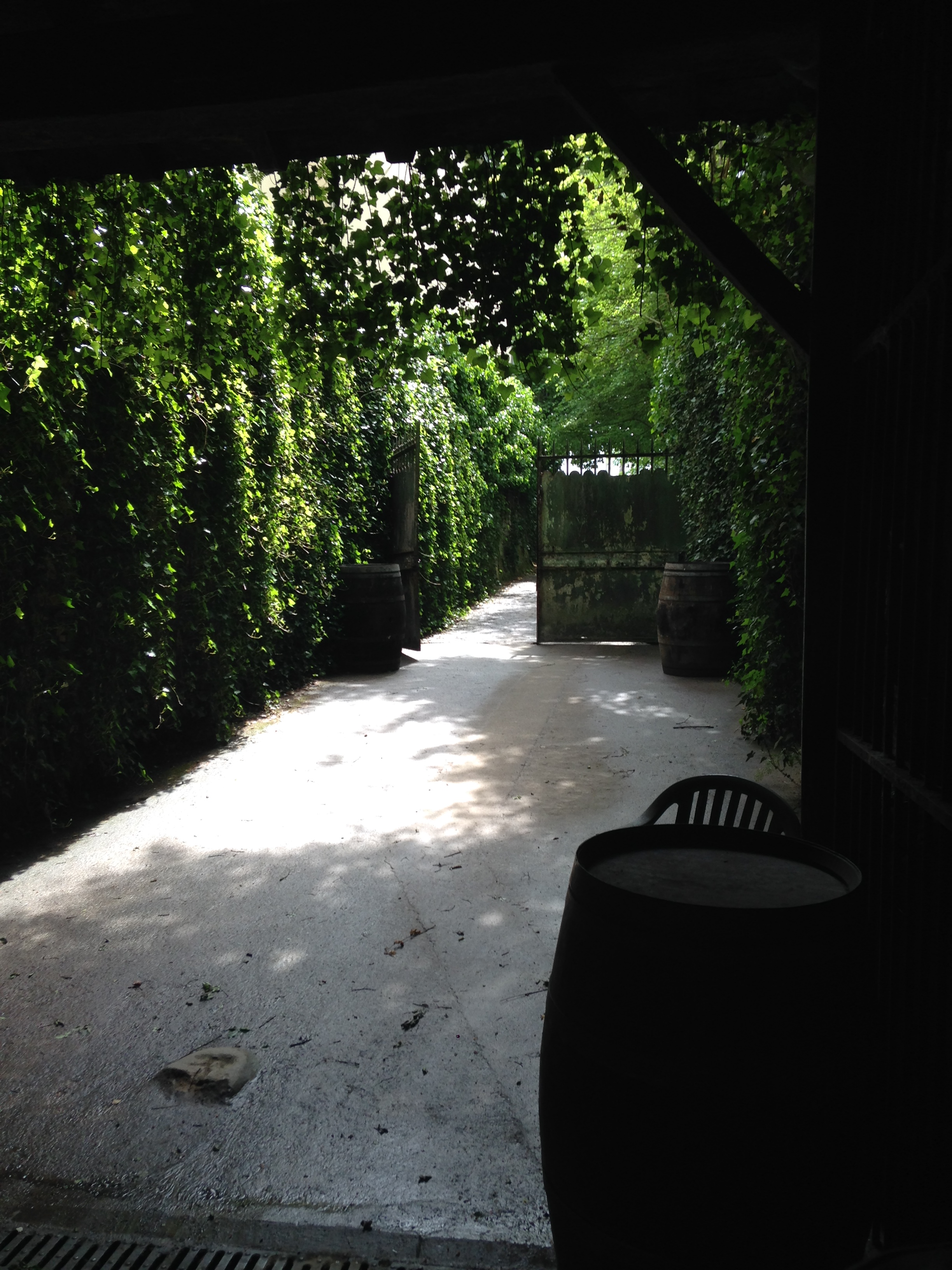 2014-05-12 Loire Valley Chevalerie Winery 7