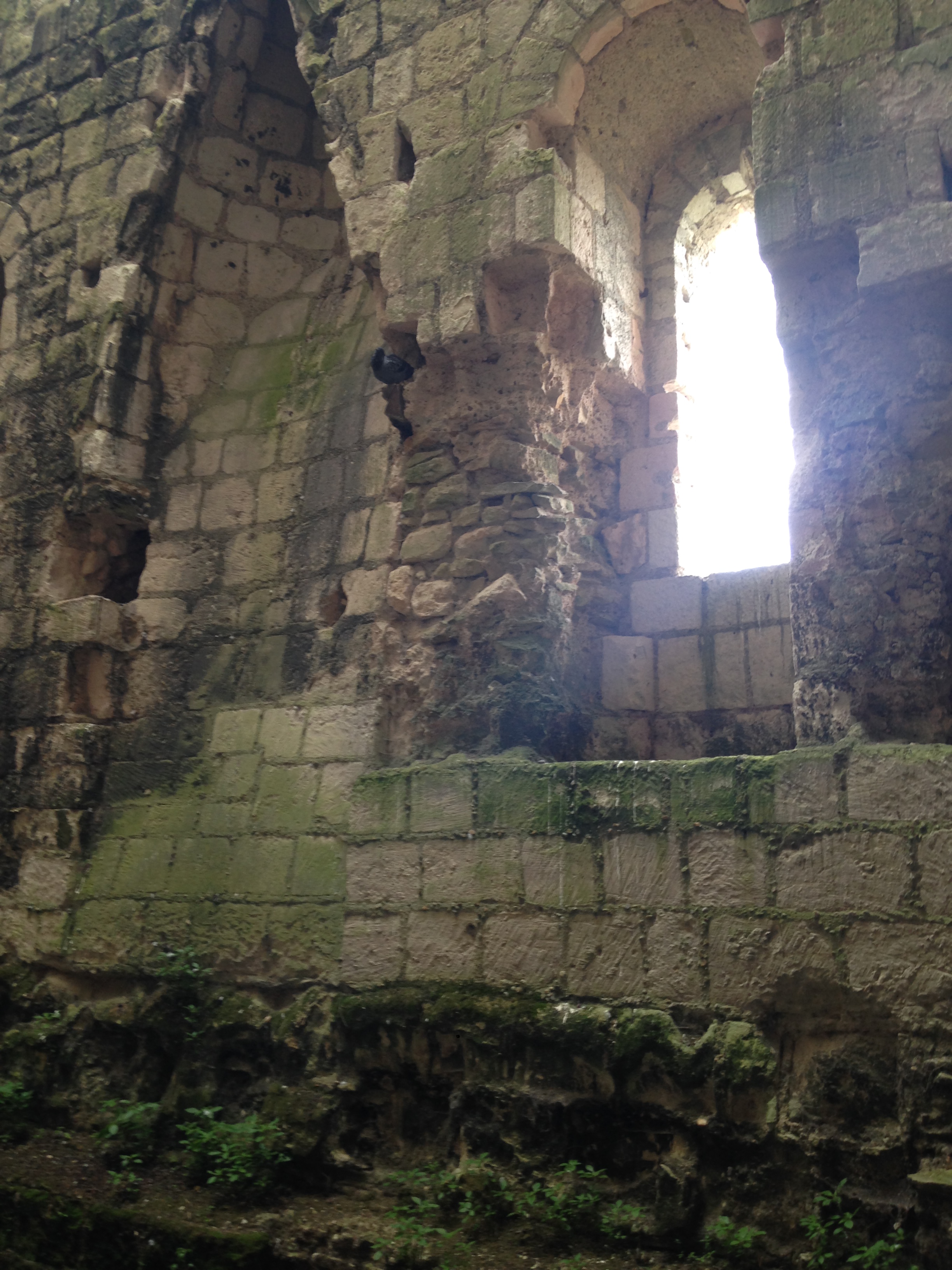 2014-05-13 Loches Chateau 44