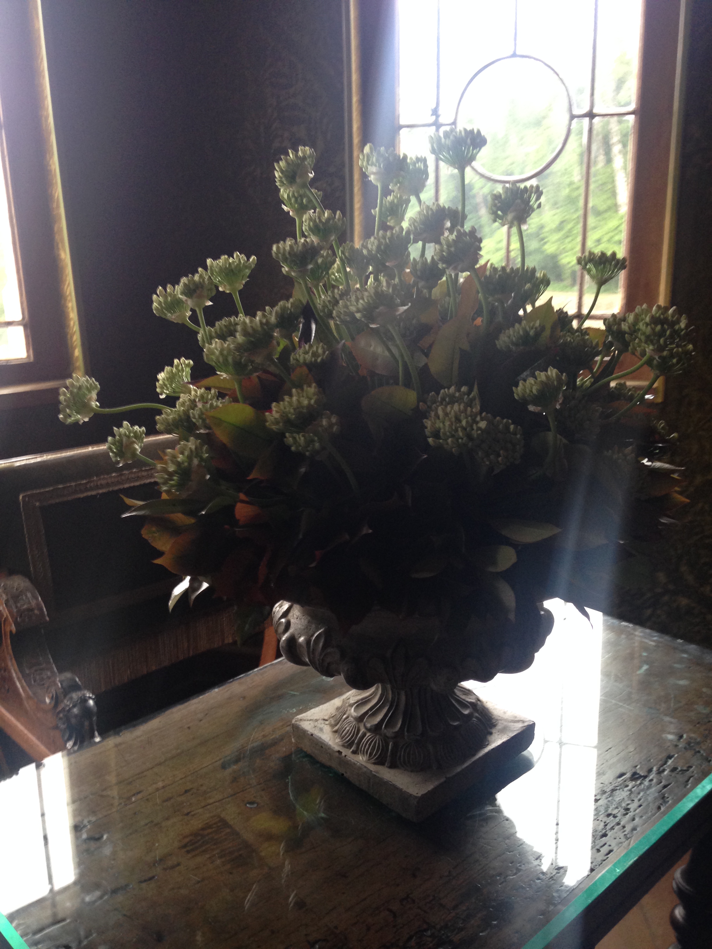 2014-05-13 Loire Valley Chenonceau 21