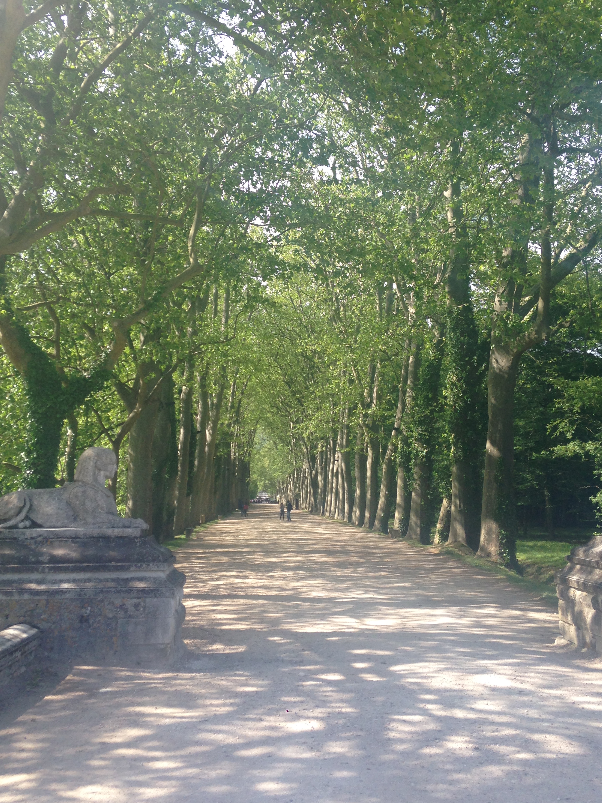 2014-05-13 Loire Valley Chenonceau 5
