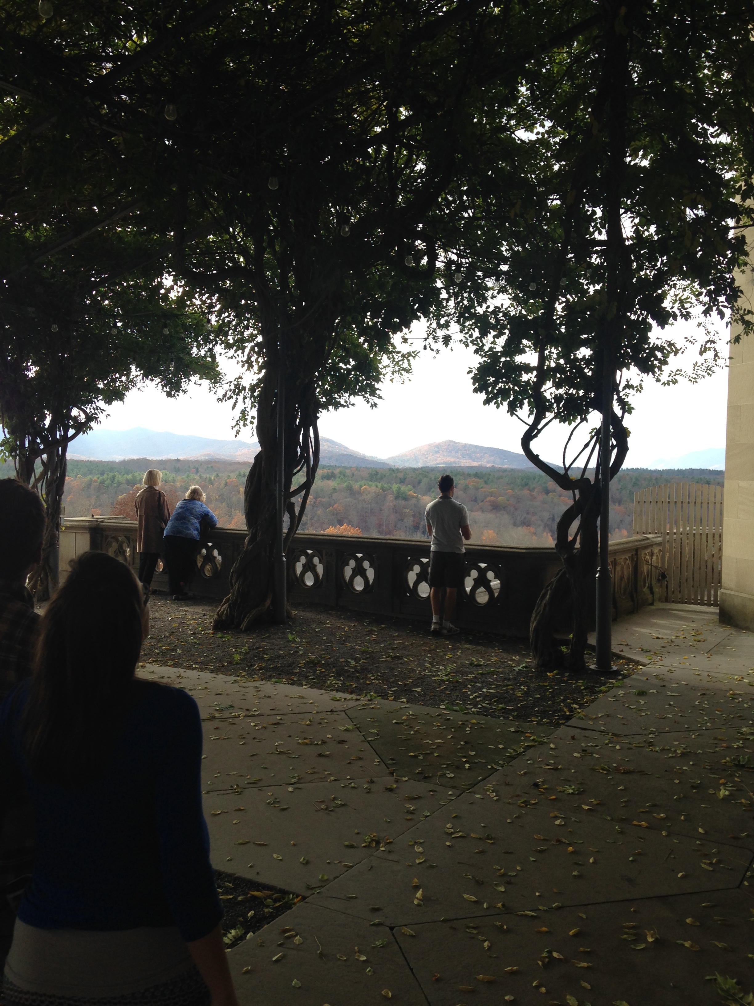 2015-11-06 Asheville Wedding Biltmore Estate 13