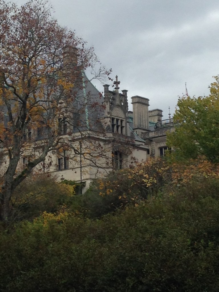 2015-11-06 Asheville Wedding Biltmore Estate 25