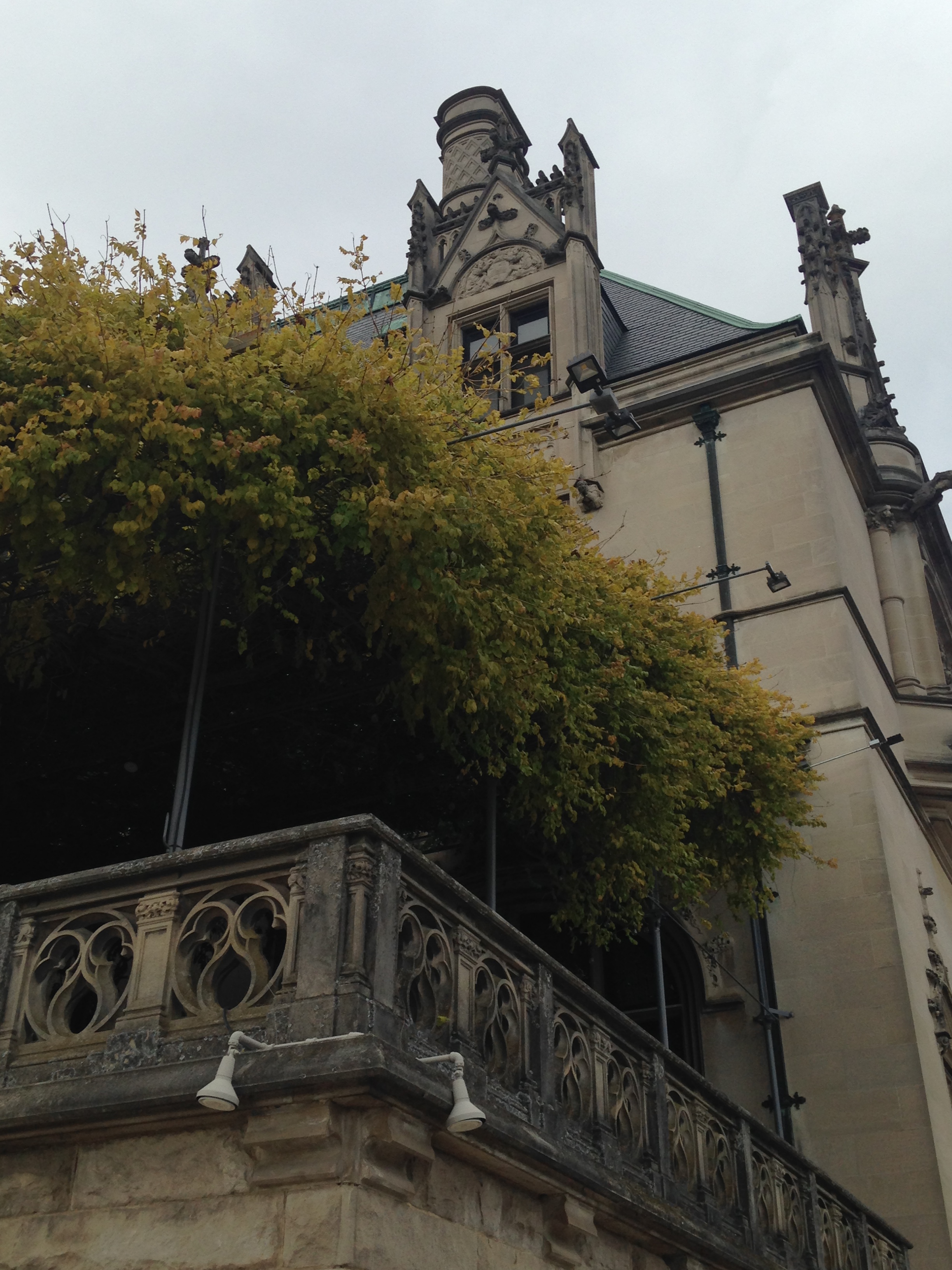 2015-11-06 Asheville Wedding Biltmore Estate 30