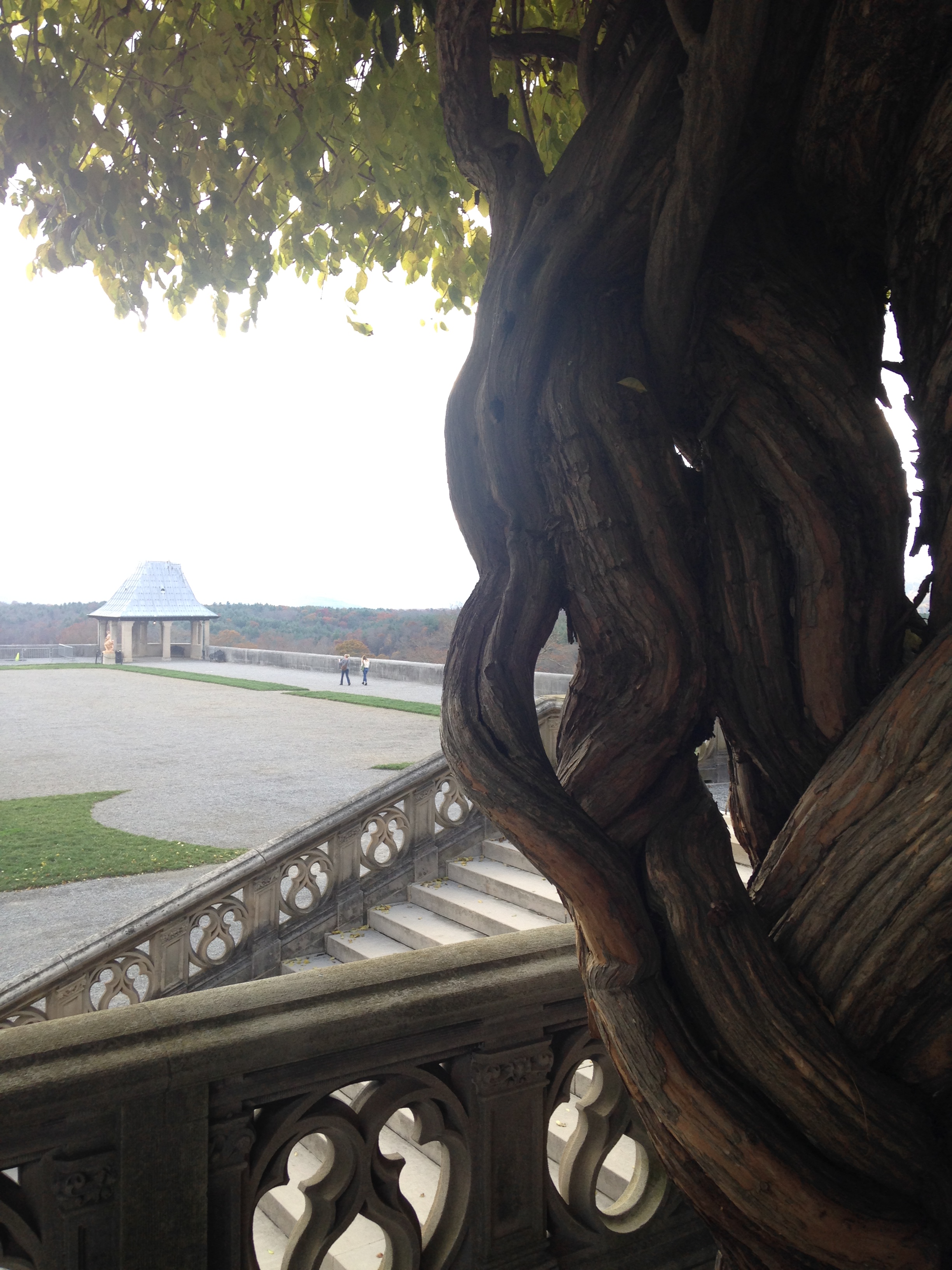 2015-11-06 Asheville Wedding Biltmore Estate 8