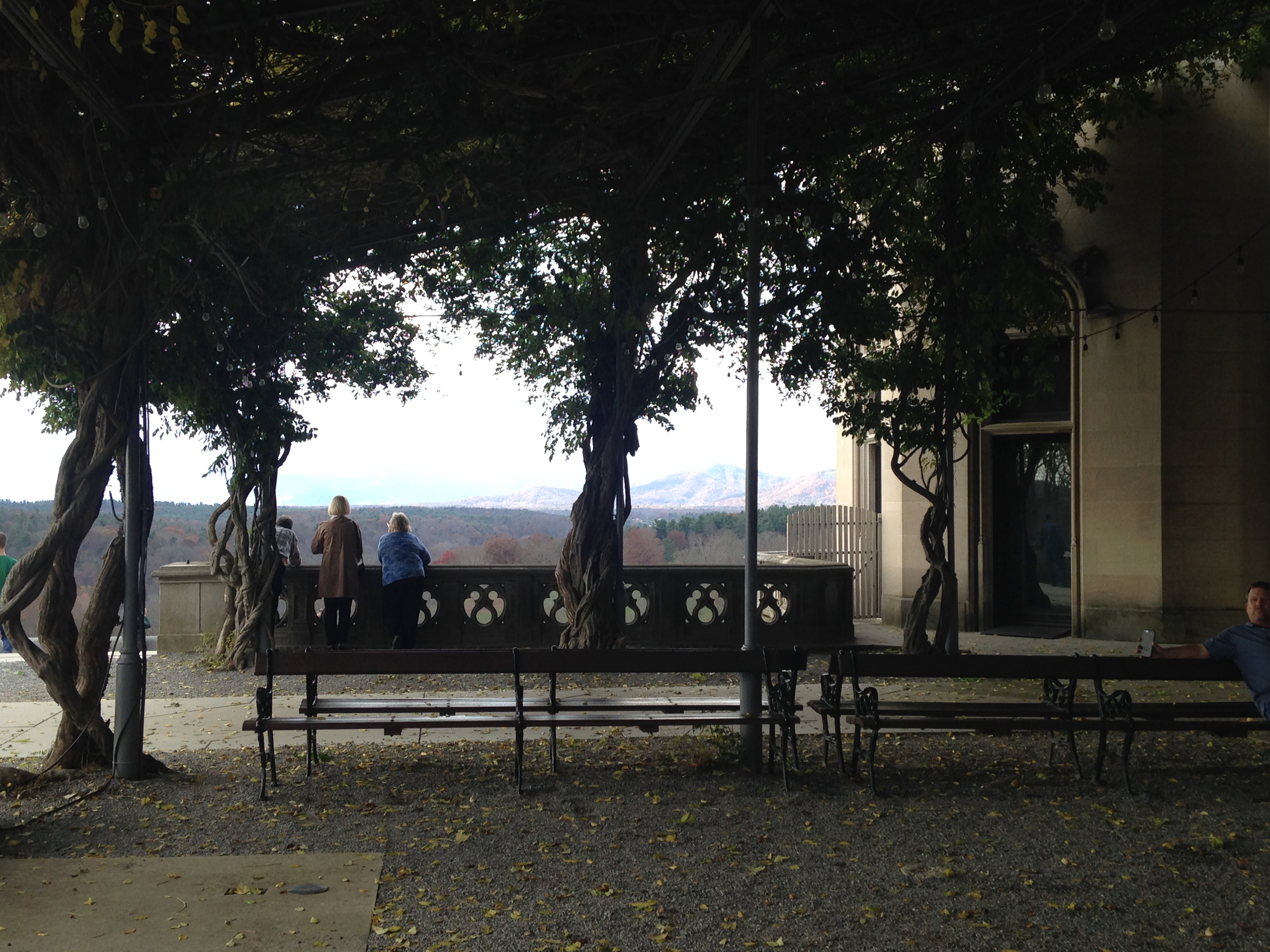 2015-11-06 Asheville Wedding Biltmore Estate 9