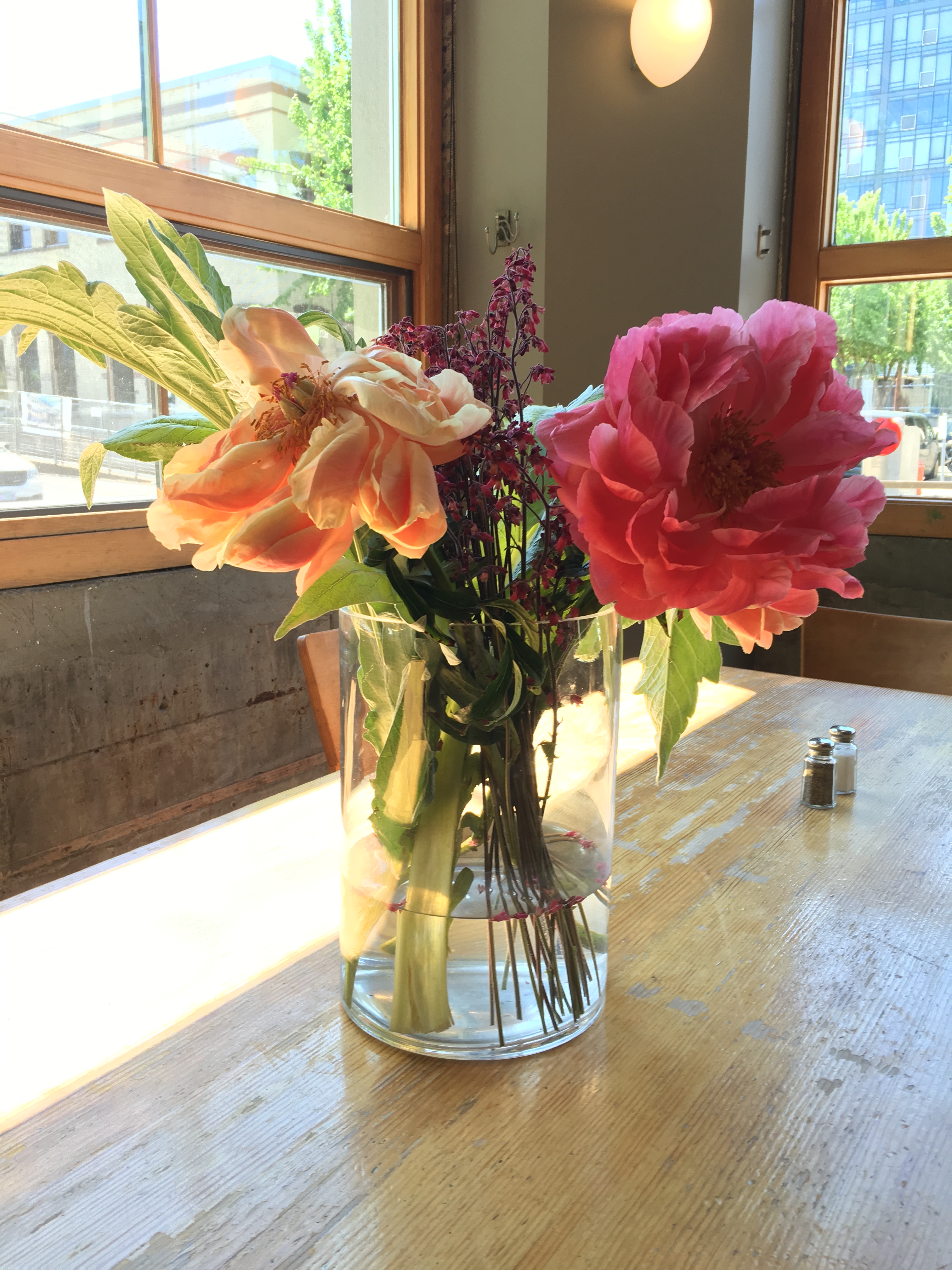 2016-05-02 Portland - The Daily 1