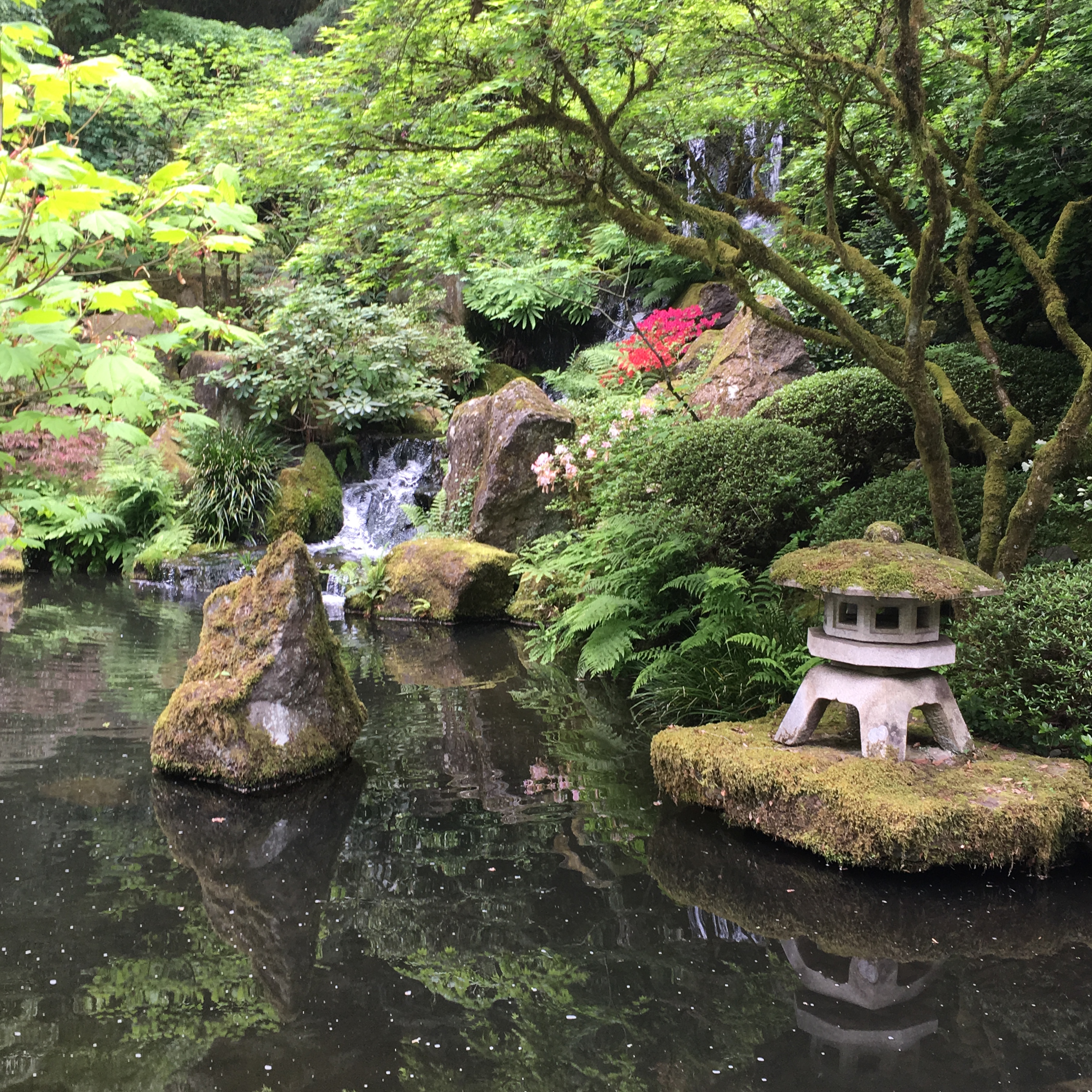 2016-05-03 Portland - Washington Park Japanese Gardens 14