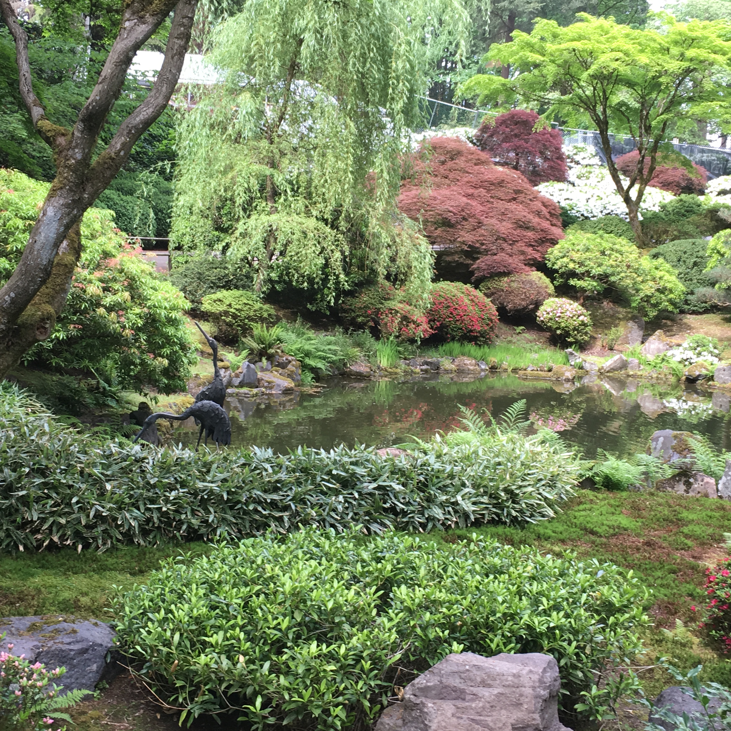 2016-05-03 Portland - Washington Park Japanese Gardens 7