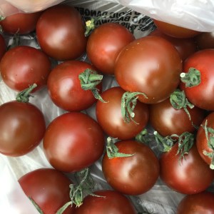 2016-05-03 Portland - Washington Park Rose Garden picnic 2