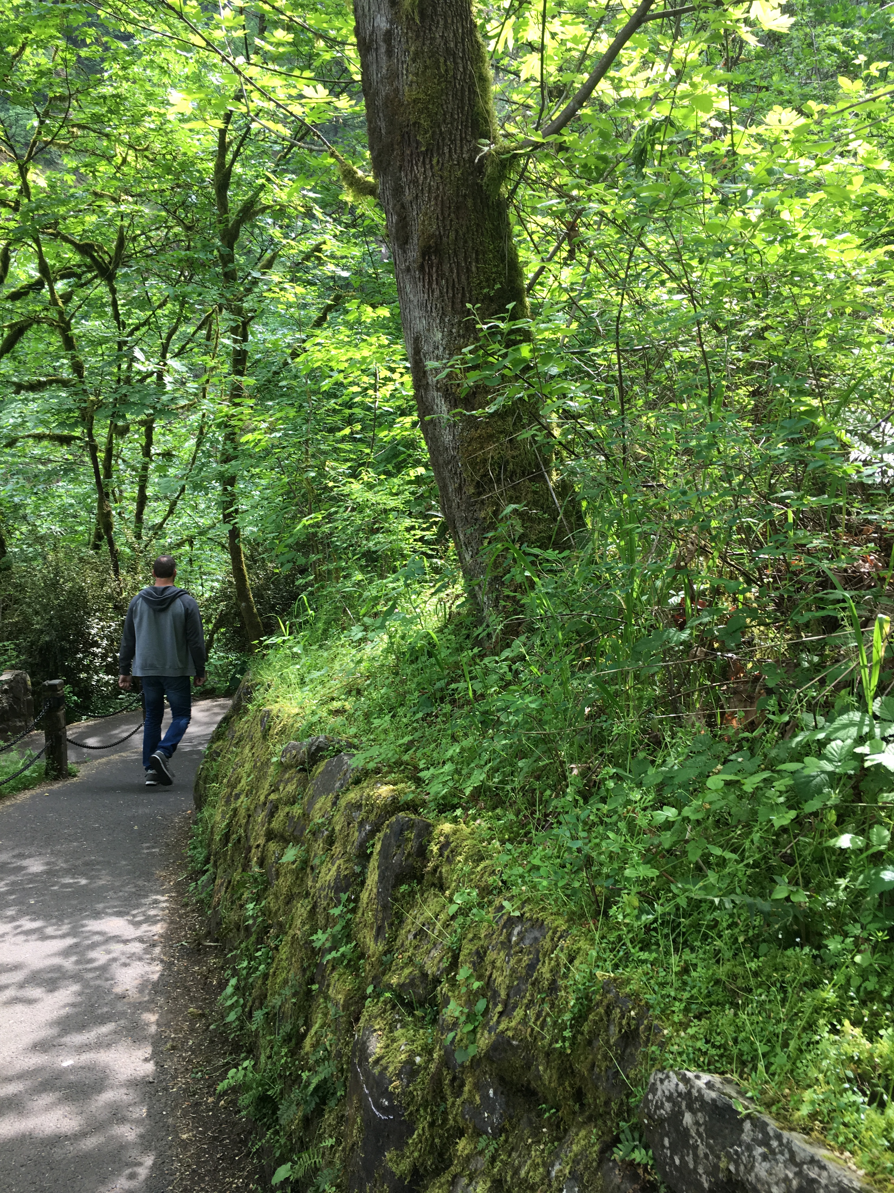 2016-05-04 Portland - Columbia River Multnomah Falls 16