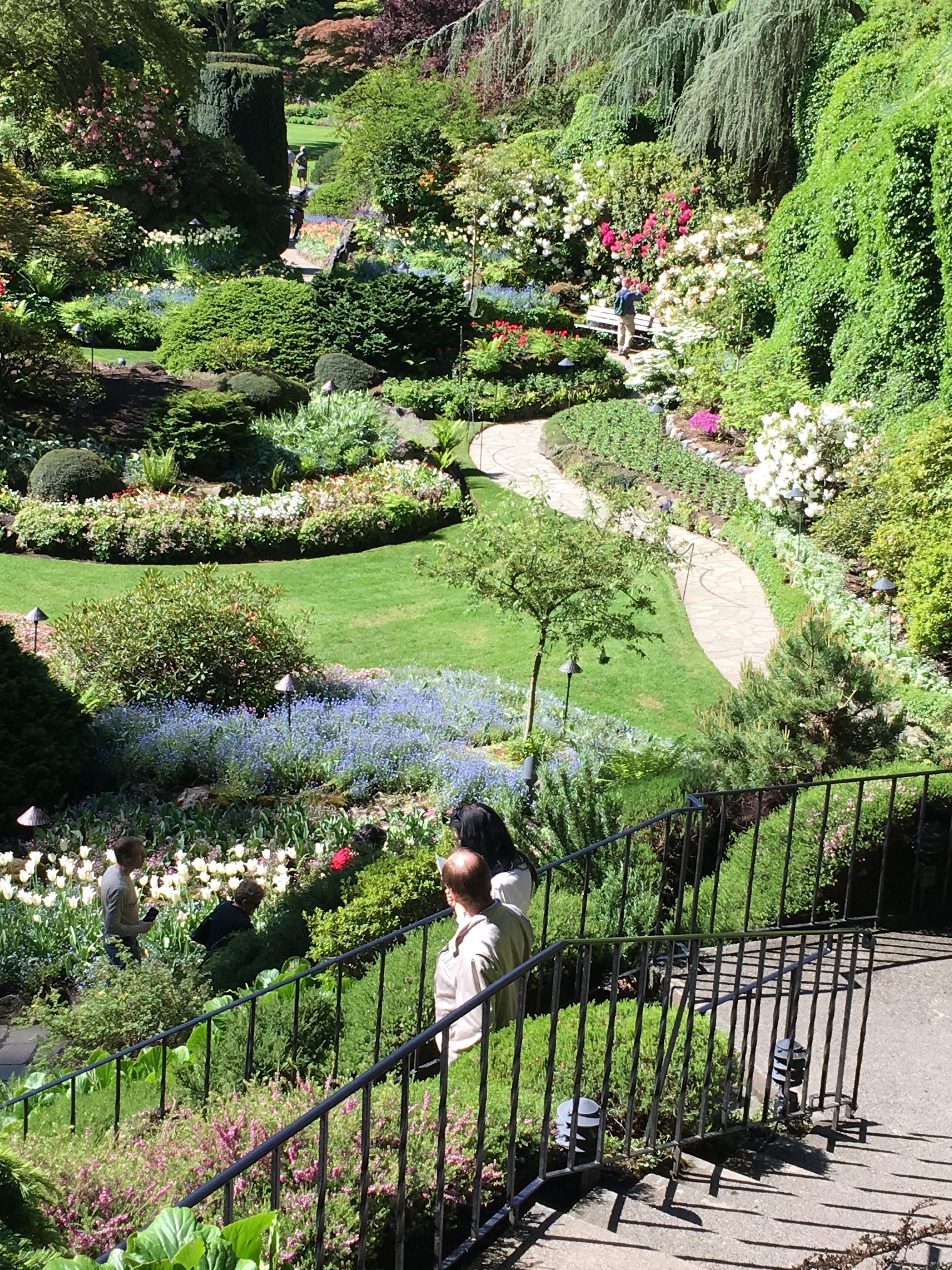 2016-05-06 Victoria BC - Buchart Gardens 12