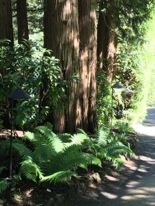 2016-05-06 Victoria BC - Buchart Gardens 18