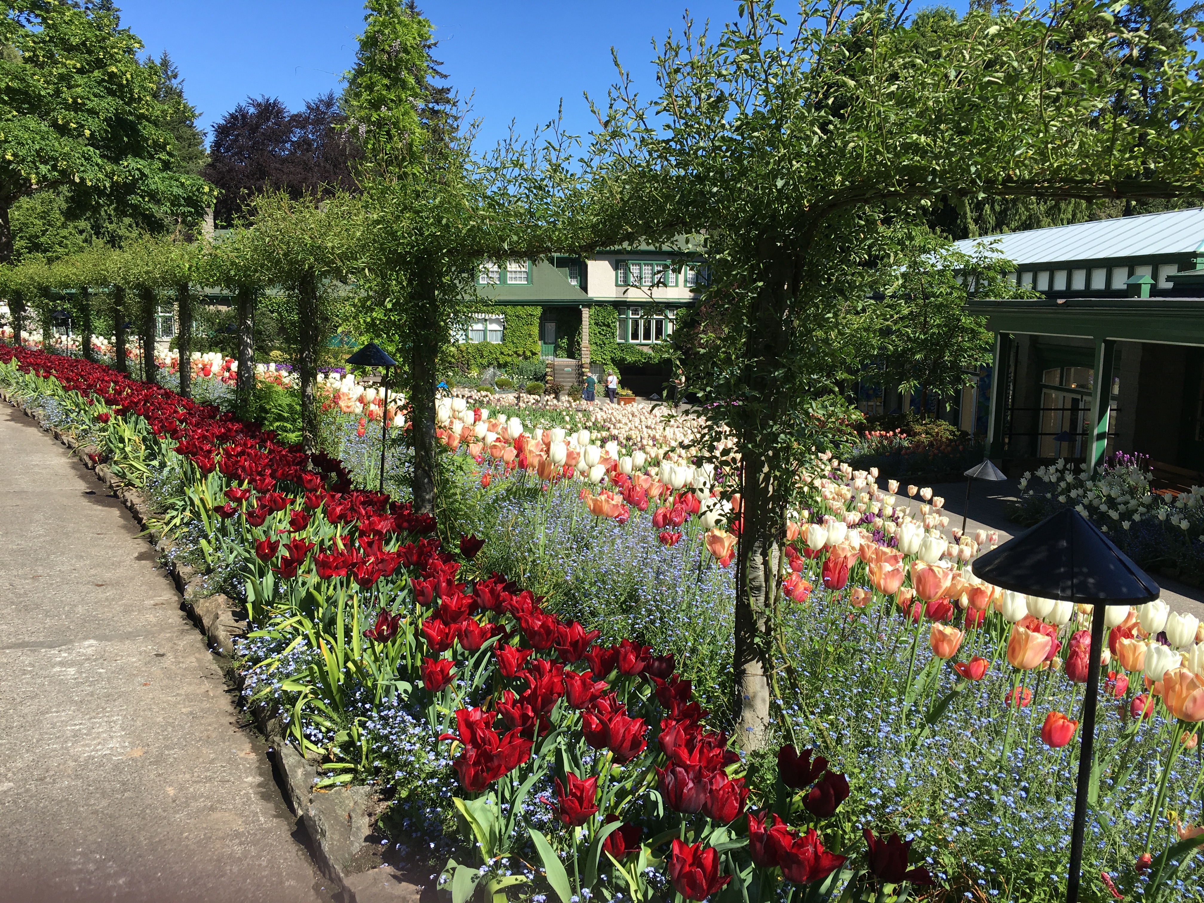 2016-05-06 Victoria BC - Buchart Gardens 2