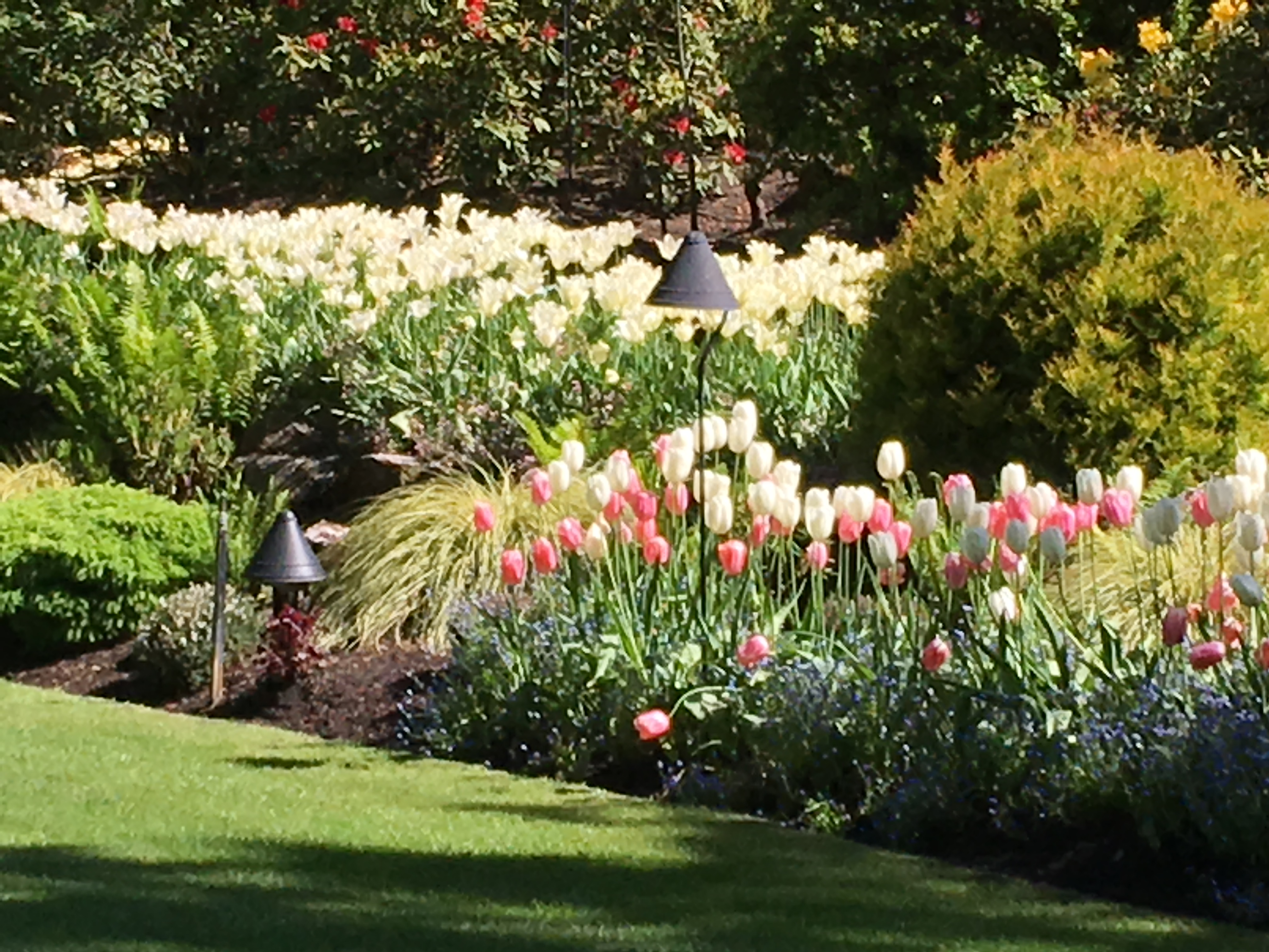 2016-05-06 Victoria BC - Buchart Gardens 23