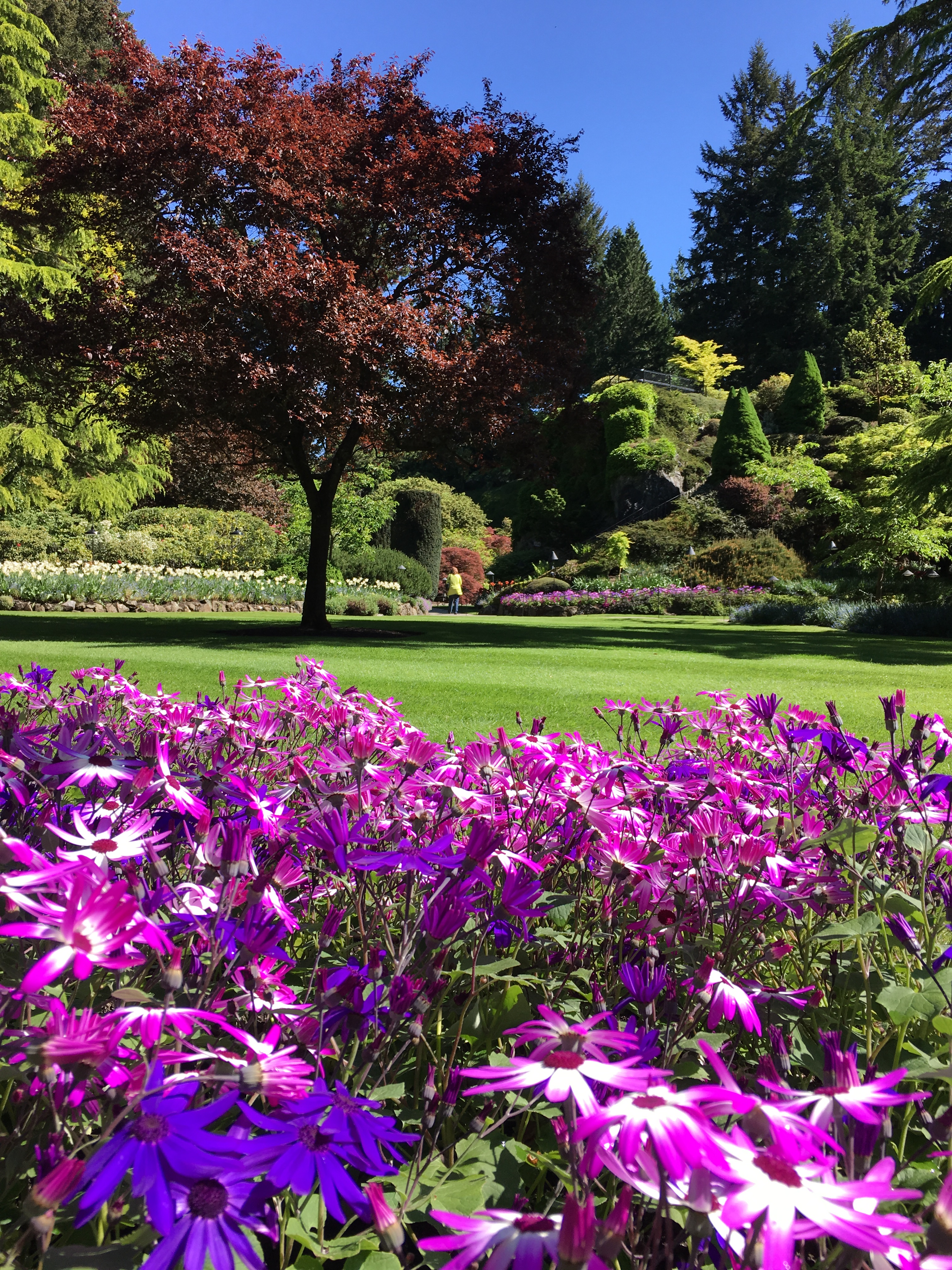 2016-05-06 Victoria BC - Buchart Gardens 24