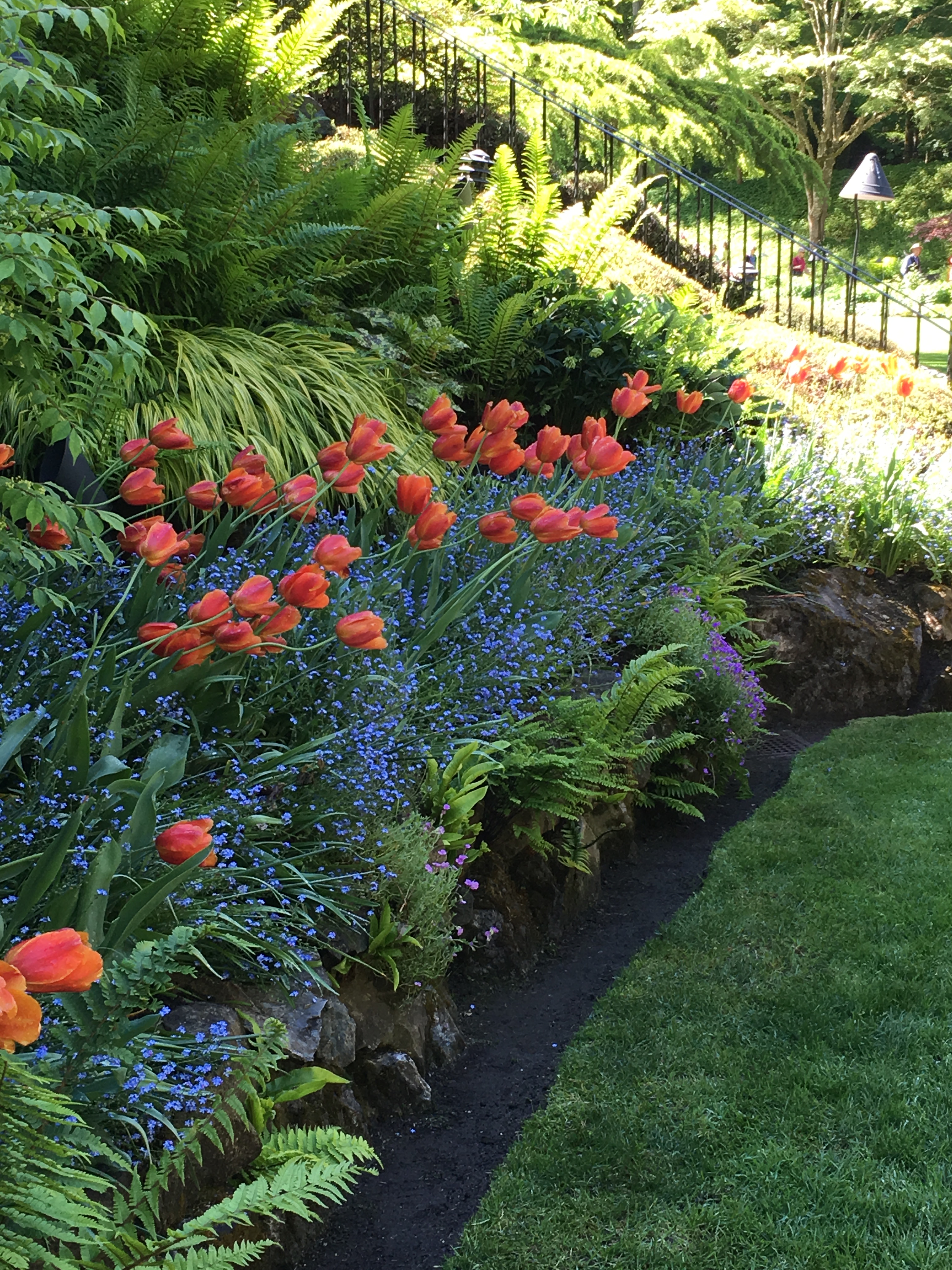 2016-05-06 Victoria BC - Buchart Gardens 30