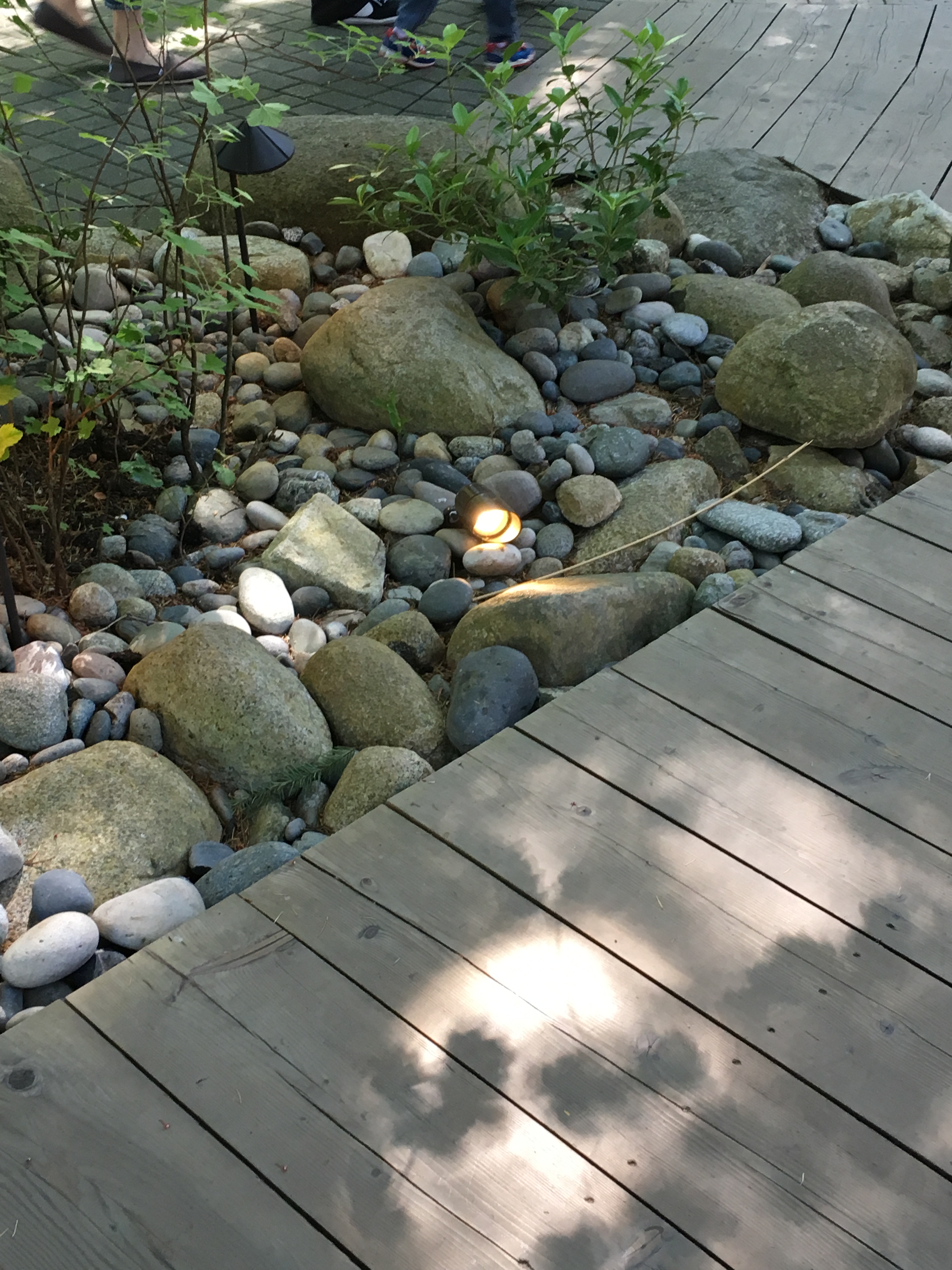 2016-05-07 Vancouver - Capillino Suspension Bridge 1