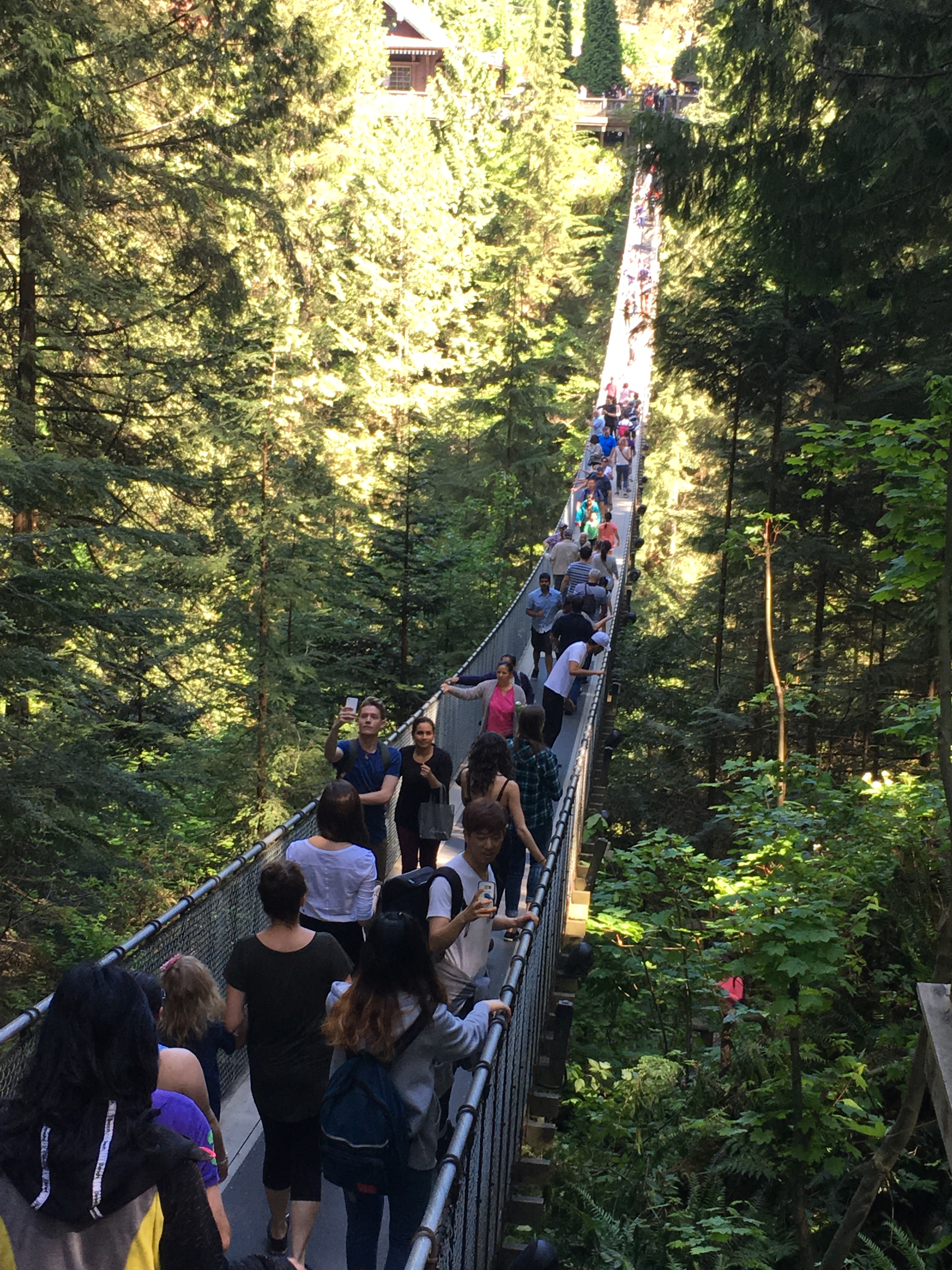 2016-05-07 Vancouver - Capillino Suspension Bridge 10